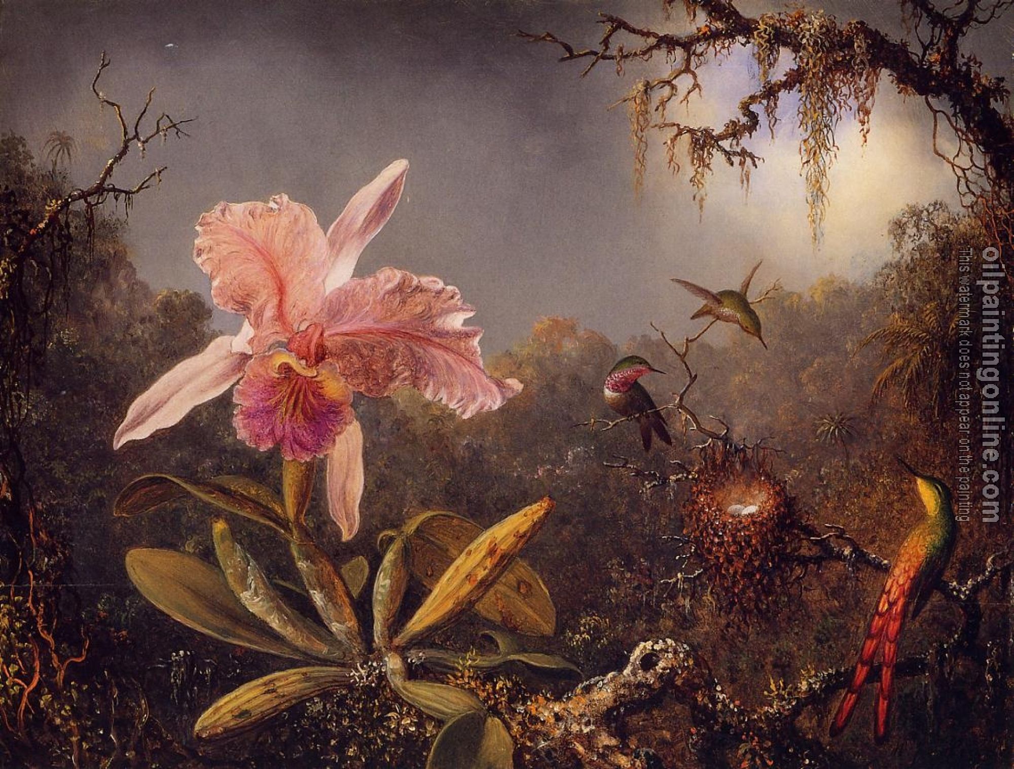 Heade, Martin Johnson - Cattleya Orchid and Three Brazilian Hummingbirds